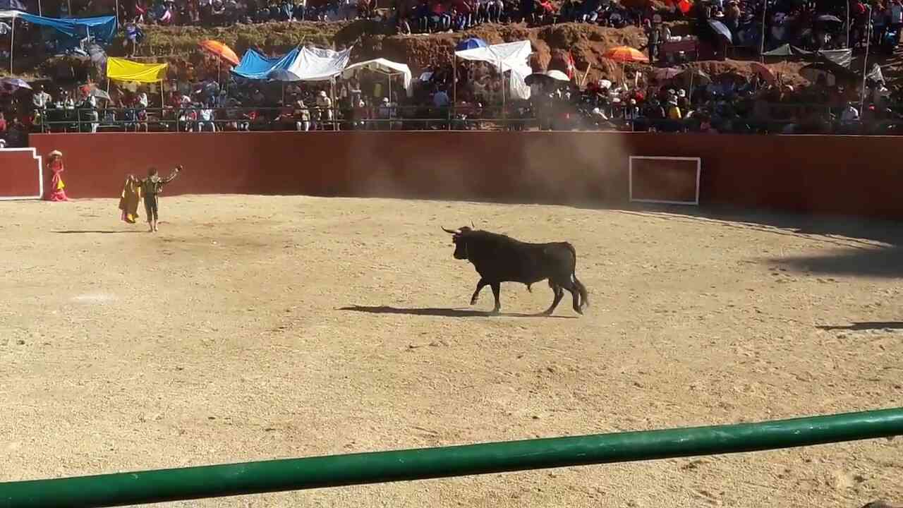 HUACCANA