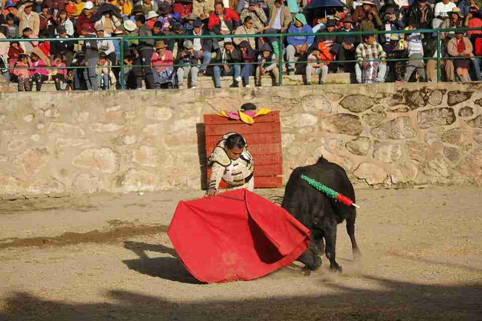 LUCANAS