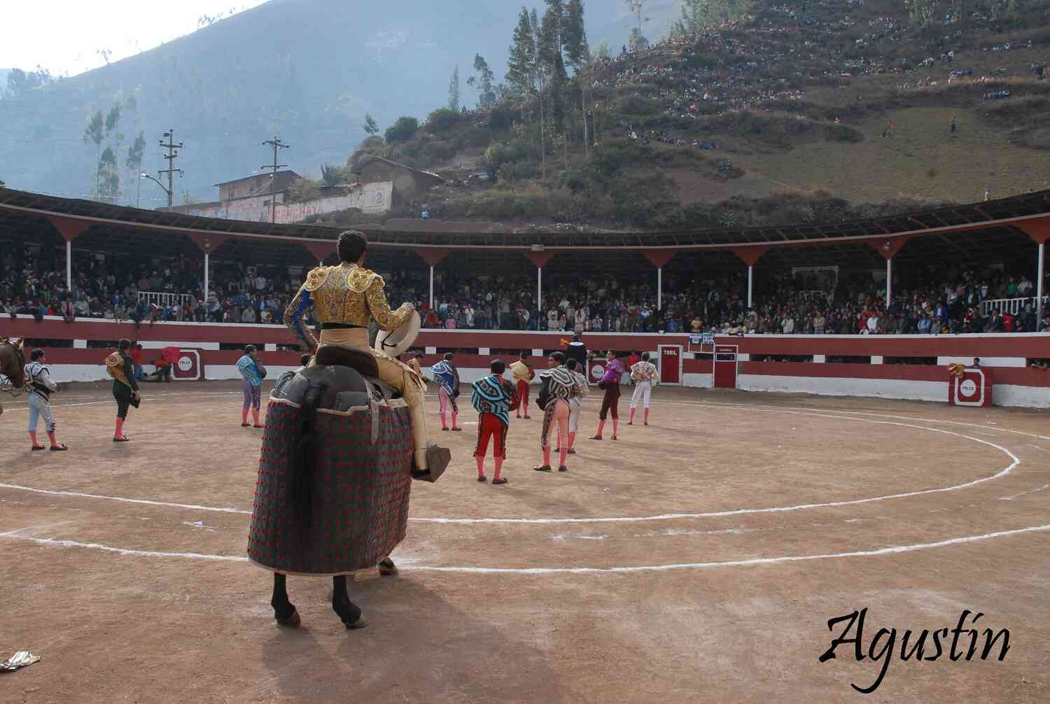 PALCA