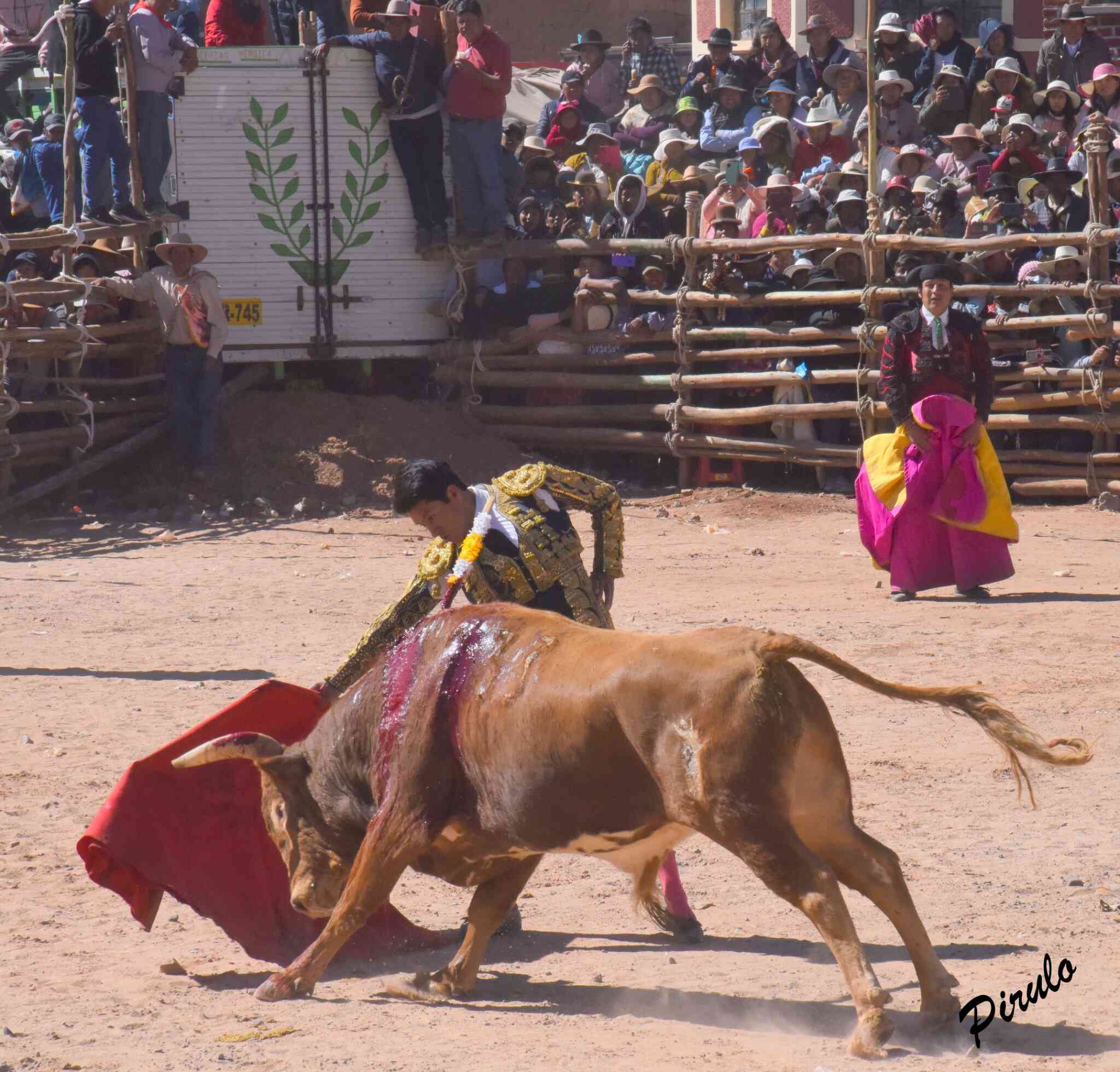 ROSASPATA